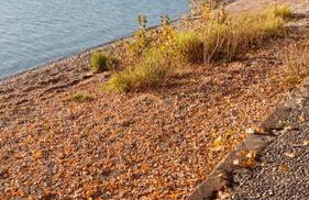 Sea Apartment on Constance Lake - Foto 12