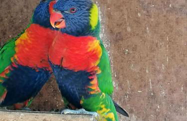 Agriturismo Andreis Alloggi - Foto 8