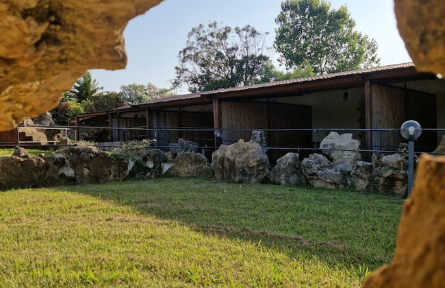 Tenute Delogu - Foto 30