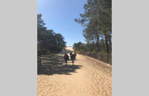 La cabane de Carol au coeur du bassin d'Arcachon - Foto 30
