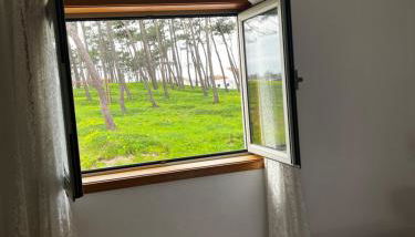 Areal da Ria - Foto 5