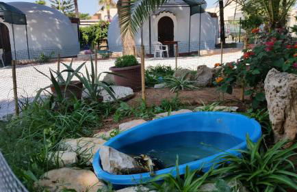 Oltremare - Photo 73