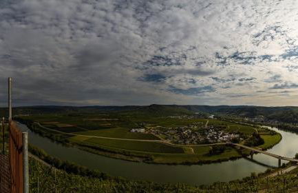 Neue Fewo mit Weinbergsblick - Urlaub im Wein- und Ferienort Bekond - Foto 8