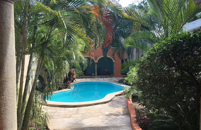 Tranquil Tropical Oasis in the Historic Center - Foto 11