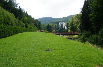 Czarodziejska Góra Kozubnik Daglezja - Foto 35