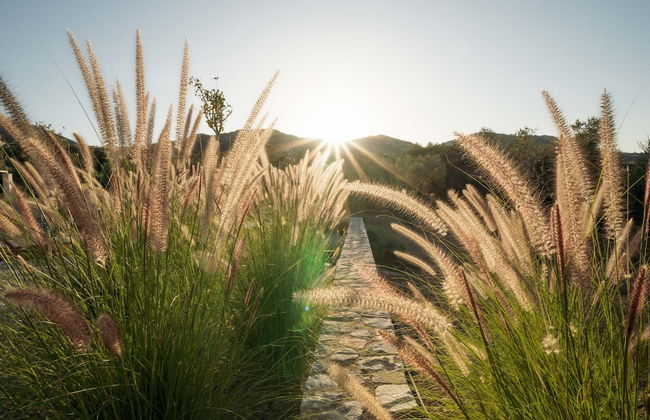 Elies Residences - Photo 45