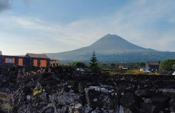 Paraíso do Triângulo - Photo 12