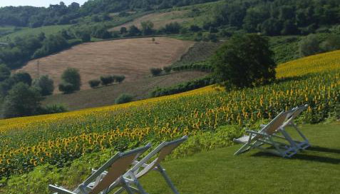 Agriturismo Annarella - Foto 5, Garden view