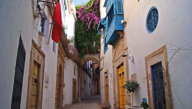 Intera giornata a Cartagine, Sidi Bou Said e la Medina di Tunisi da Hammamet - Foto 5