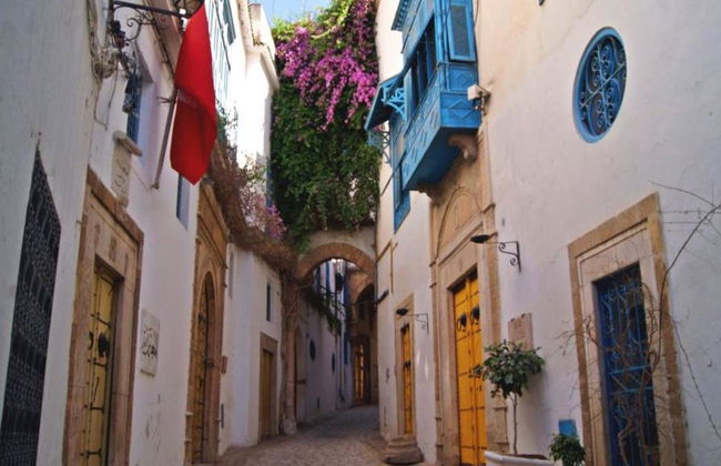 Intera giornata a Cartagine, Sidi Bou Said e la Medina di Tunisi da Hammamet - Foto 5