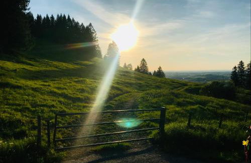 Ferienwohnung Am Mühlbach 2 - Photo 14
