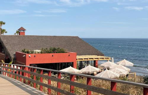 Estrelicia - Photo 49