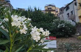 Charming 1bed in historic centre - Foto 17