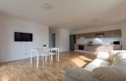 T&K Apartments - BERGISCH GLADBACH - 7 Comfortable Apartments - 20 min to Fair Messe Cologne - Foto 55