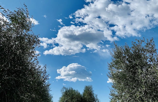 Tenuta Agricola Fraschiera - Foto 50