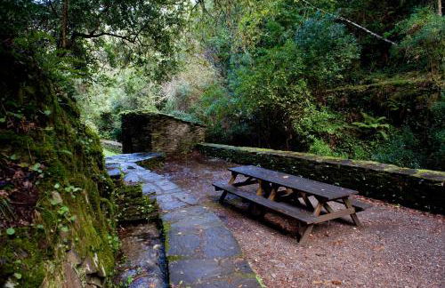 Piódão Casa do Rosmaninho TER - Foto 32