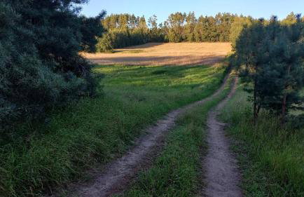 Widny Jaś zaprasza z psem nad jezioro na Kaszubach - Foto 47