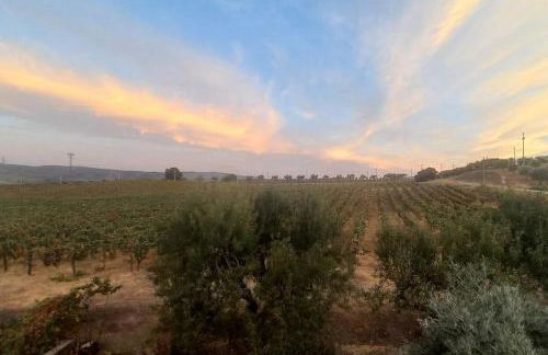 Samorinha House - Foto 25