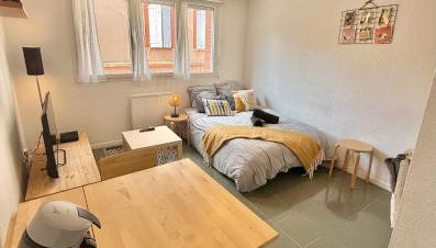 Studio Calme et Confort - Saint-Cyprien - Pont Neuf - Foto 4