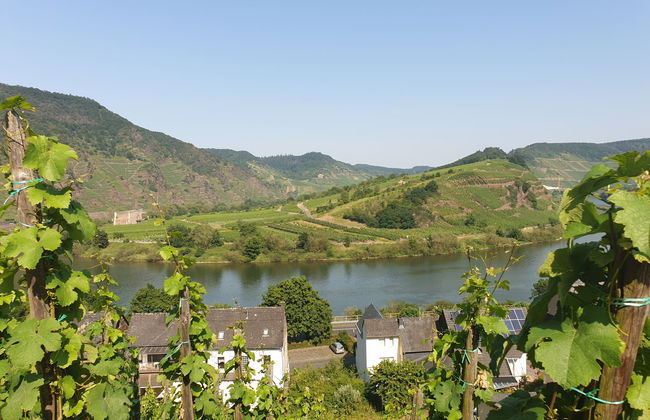 Tante Agnes - Foto 38