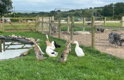 Sandy Cove Cottage - Foto 79