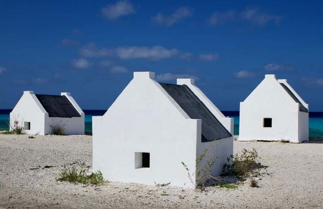 Tour del sud di Bonaire - Foto 4