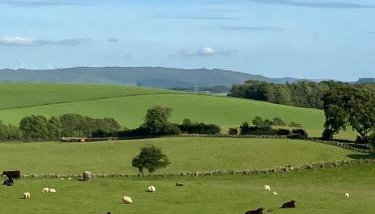 Wee Shepherds Hut Maybole - Foto 5, Garden view