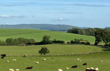Wee Shepherds Hut Maybole - Foto 5