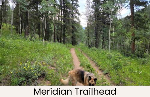 Mountain cabin w game room & hot tub - Foto 52