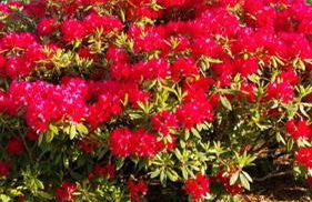 Ferienwohnung Mathilda - Foto 8