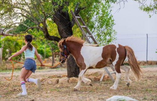 La Quinta da Liberdade - Ferme de charme en Algarve - Foto 2