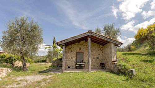 La casina degli olivi - Foto 4