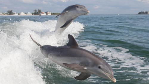 Breezy Bungalow - Foto 3