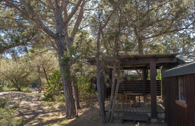 Residence Moby Dick - Foto 33