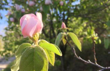 Gîte La Cerise Qui Rit - Photo 33