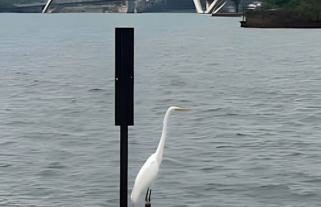 Brisas do Lago - Apartamento 9 - Photo 21