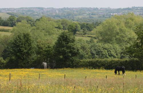 Just A Cottage, Newlands Farm - Foto 16