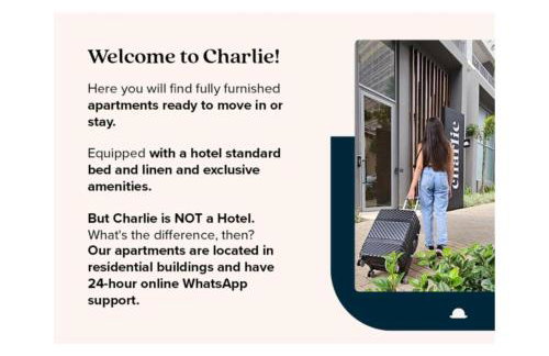 Charlie The Arch Moinhos - Foto 15