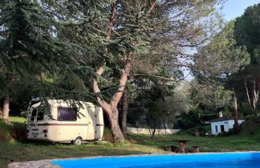 Stone Garden, Casa en plena naturaleza - Foto 6