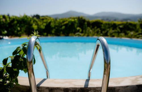 Quinta De Vila Nova - Agroturismo - Foto 40