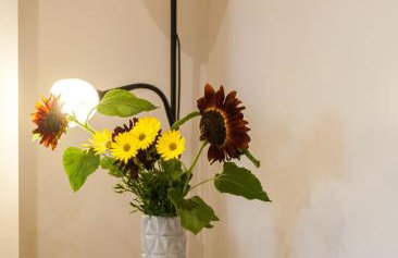 Cyrus House - Foto 42