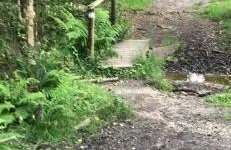 Spout House Studio - Photo 36