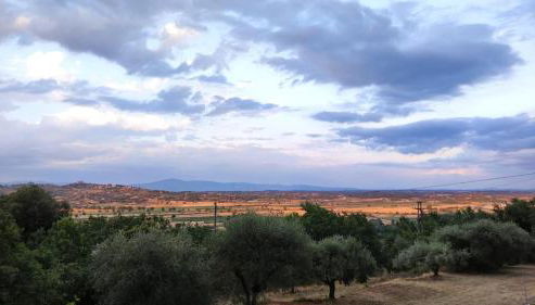 Happy Tuscany - Foto 5