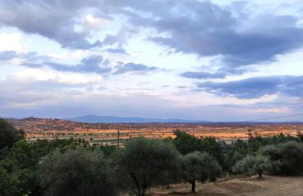 Happy Tuscany - Photo 12