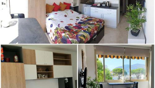 Garden and beach sea view apartment Cannes - Foto 2