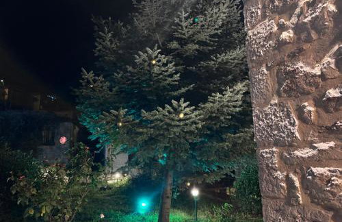 Traditional stone house - Dimitsana - Foto 21