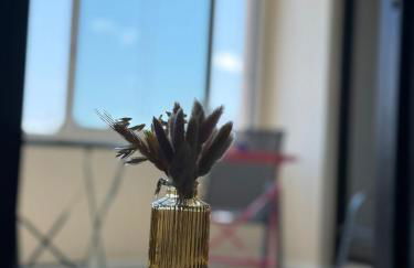 Charmant T3 - Arènes de Bayonne - Foto 16