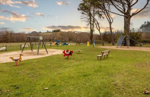 Atlantic Selection - Domaine de Bordaberry - Avec piscine et vue océan - Foto 18
