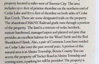 Grandma's House - Foto 31