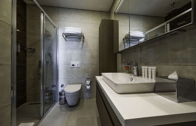 Radisson Residences Vadistanbul - Photo 66